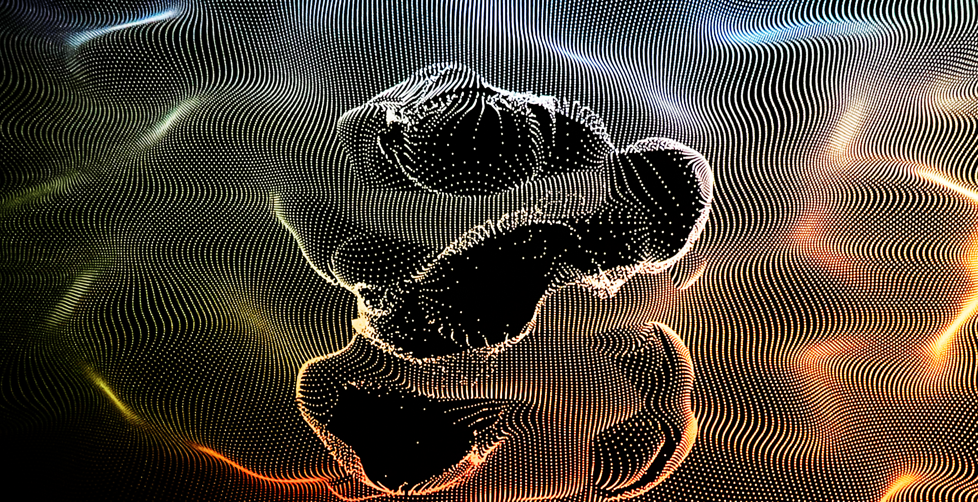 Echoes of Motion