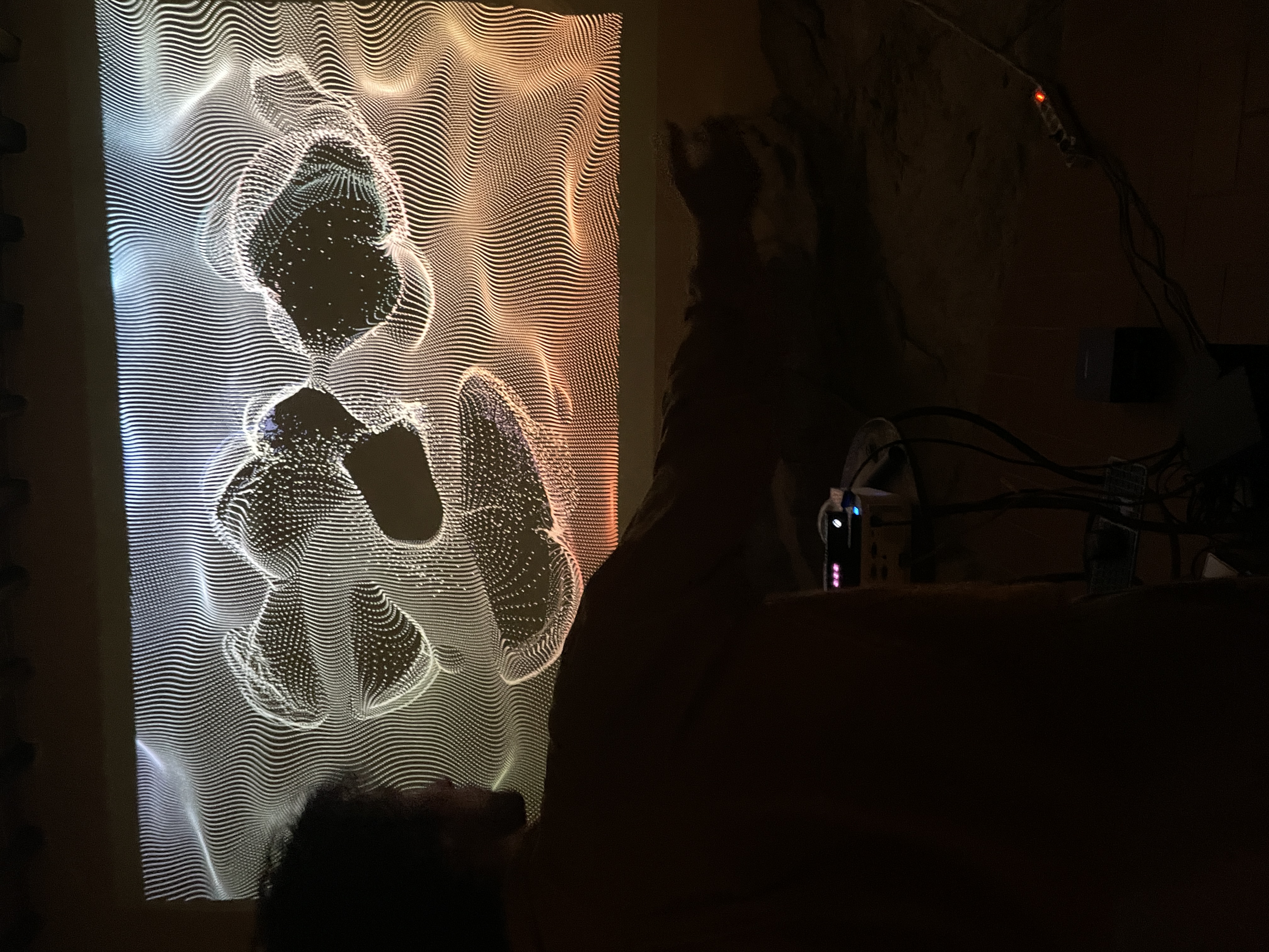 Echoes of Motion — Bild 2