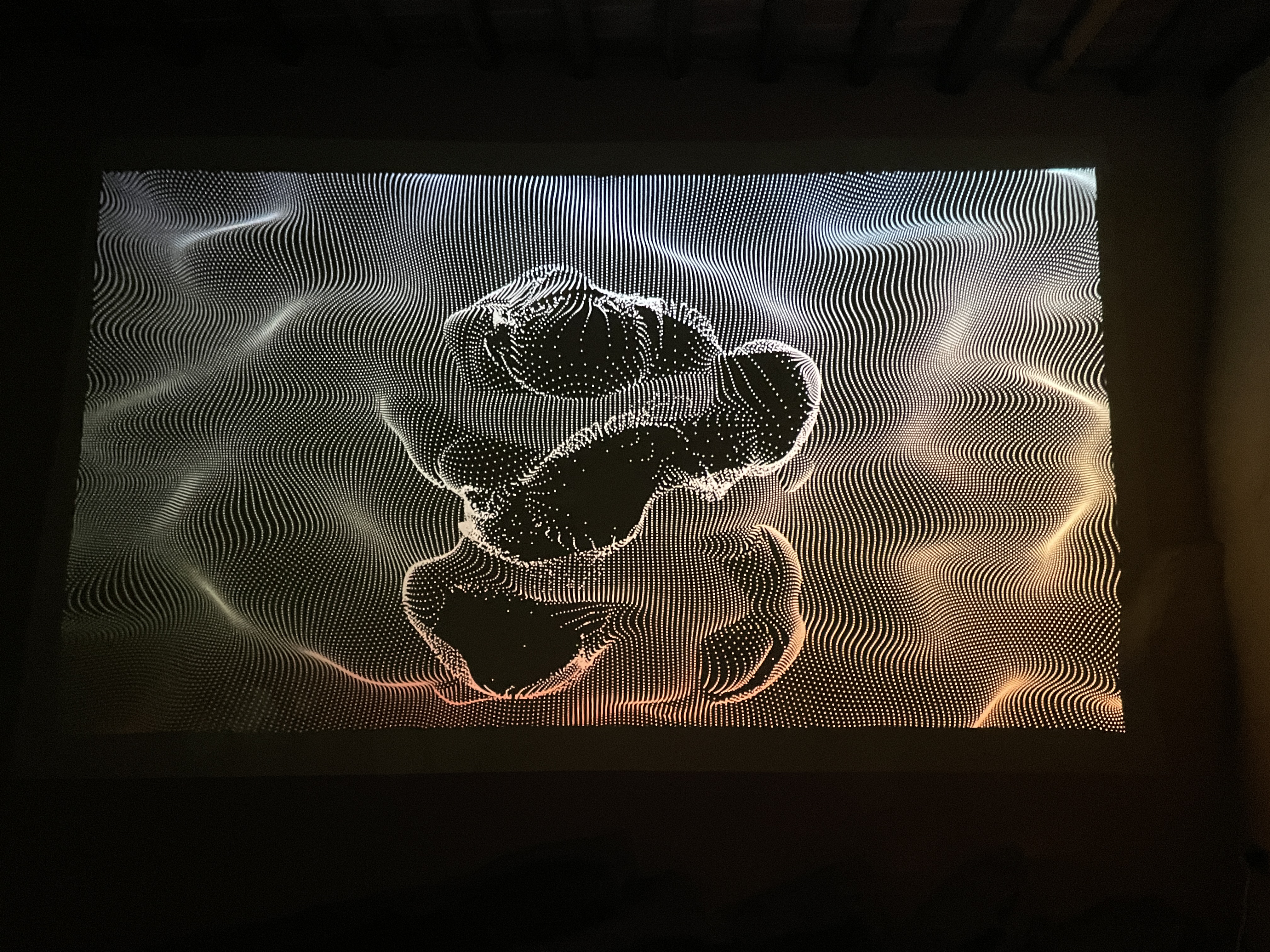Echoes of Motion — Bild 3